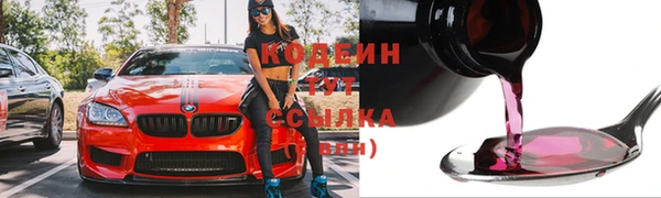 гашик Пестово