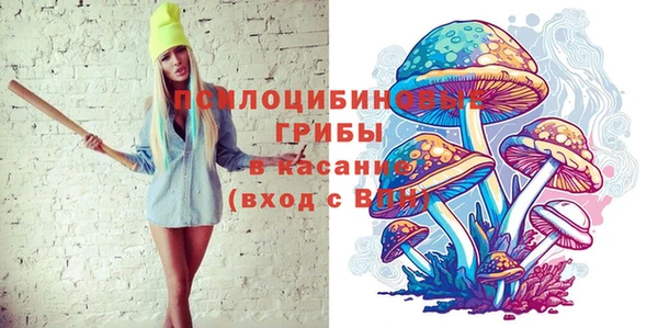 гашик Пестово