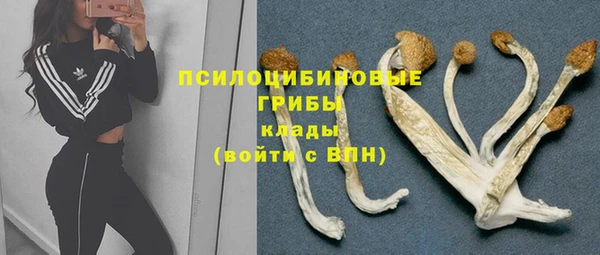 мяу мяу мука Балабаново