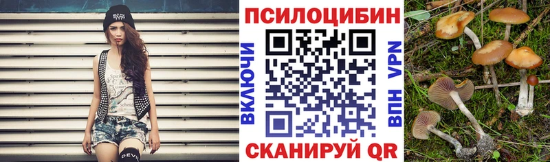 купить  сайты  Кремёнки  Галлюциногенные грибы мухоморы 
